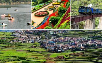 Ooty tour packages for couple