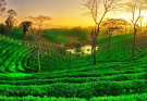Assam holiday packages
