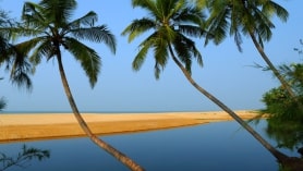 Kerala Tour Packages