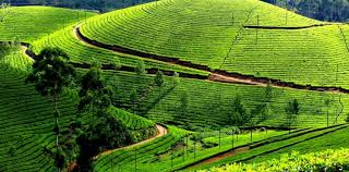  - Amazing Chikmagalur