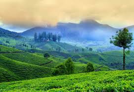  - Honeymoon in Kerala