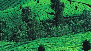 Explore Mysore and Coorg