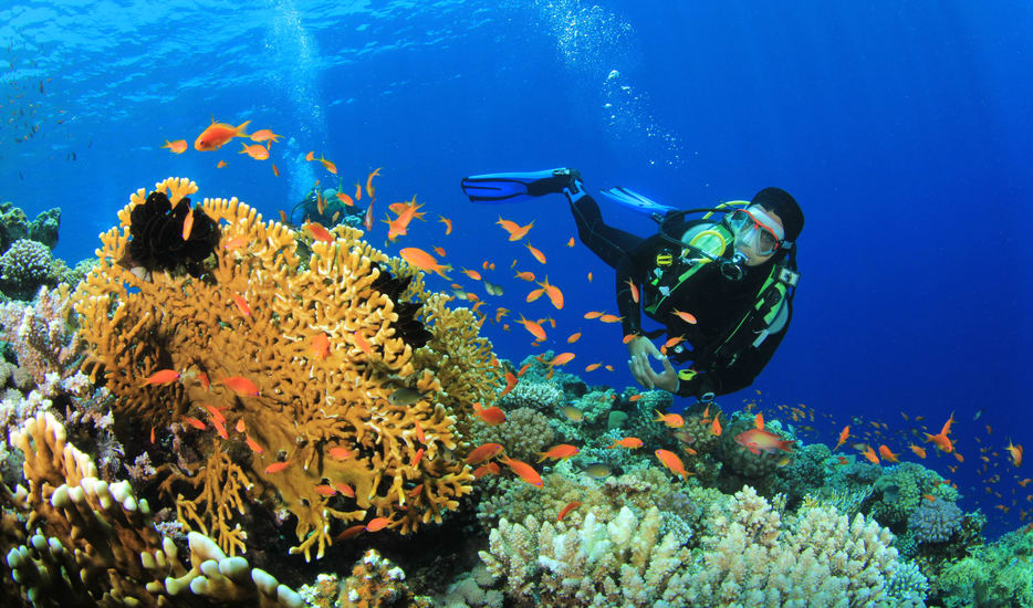 Andaman Best Value Package